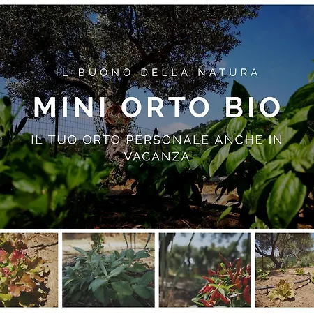 Due Esperienza Panoramica 度假居