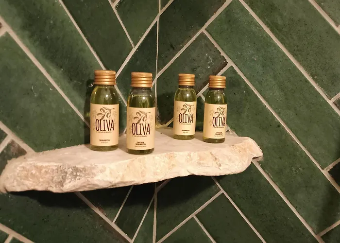 Due Esperienza Panoramica